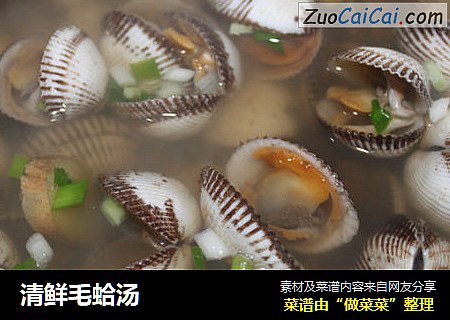 清鲜毛蛤汤