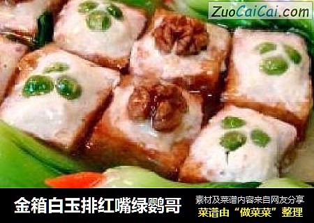 金箱白玉排红嘴绿鹦哥