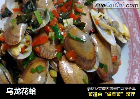 乌龙花蛤
