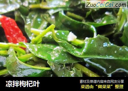 凉拌枸杞叶