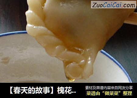 【春天的故事】槐花饺子