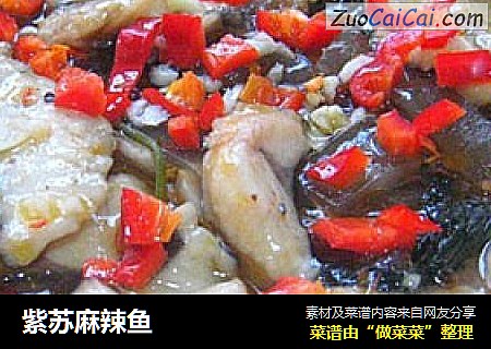紫苏麻辣鱼