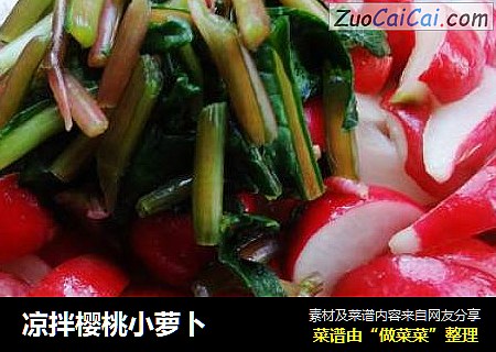 凉拌樱桃小萝卜
