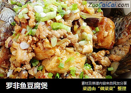 罗非鱼豆腐煲