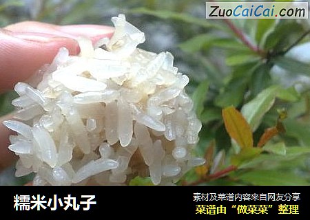 糯米小丸子