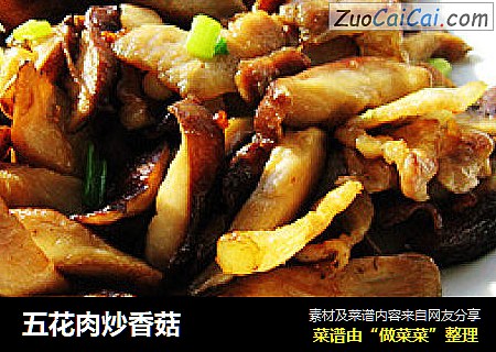 五花肉炒香菇