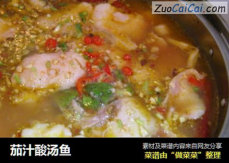 茄汁酸汤鱼