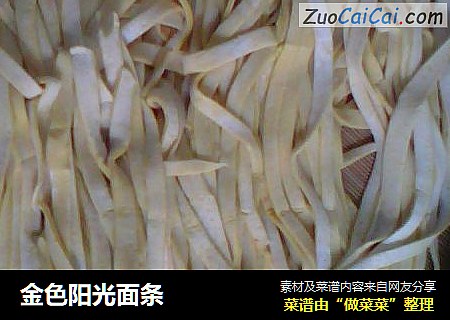 金色阳光面条