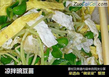 凉拌豌豆苗