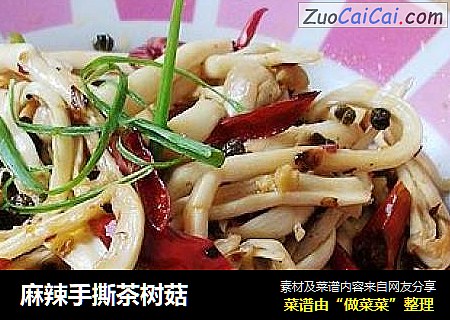 麻辣手撕茶树菇