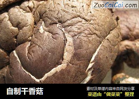 自制干香菇