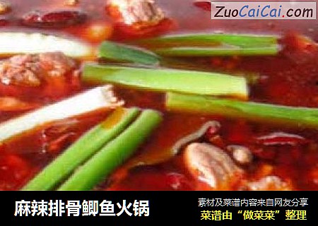 麻辣排骨鲫鱼火锅