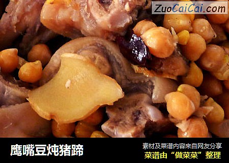 鹰嘴豆炖猪蹄