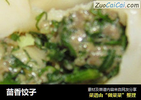 茴香饺子
