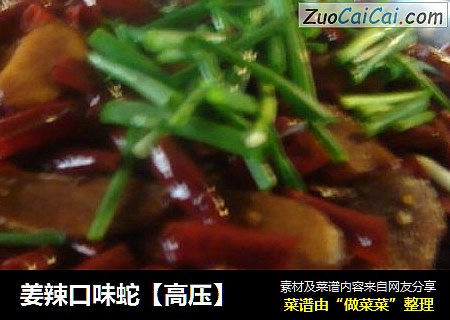 姜辣口味蛇【高压】