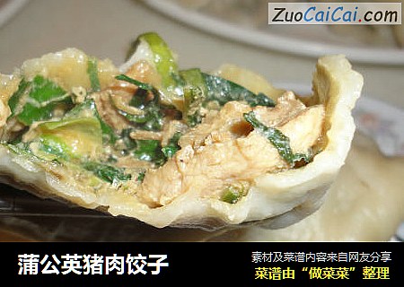 蒲公英猪肉饺子