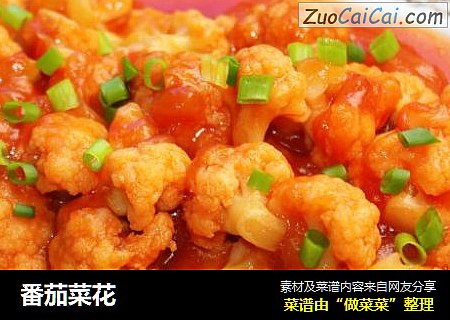 番茄菜花
