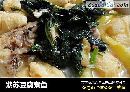 紫苏豆腐煮鱼