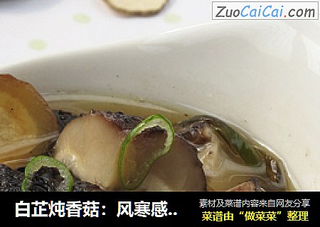 白芷炖香菇：风寒感冒的及时补救措施