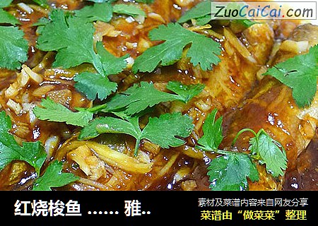 红烧梭鱼 …… 雅子家的美味儿