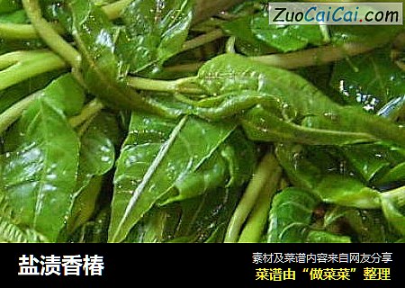 盐渍香椿