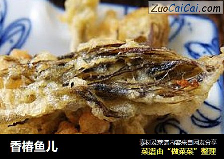 香椿鱼儿