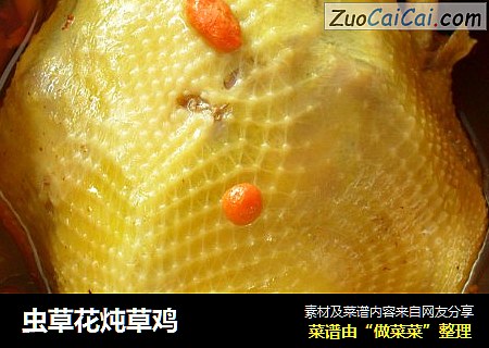 虫草花炖草鸡