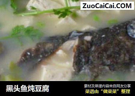黑头鱼炖豆腐