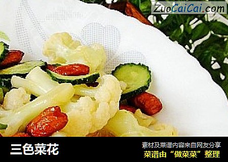 三色菜花