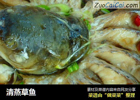 清蒸草鱼