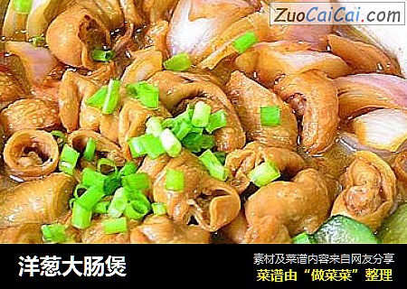 洋葱大肠煲