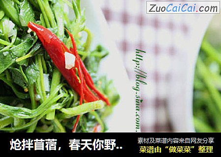 炝拌苜蓿，春天你野菜了没？