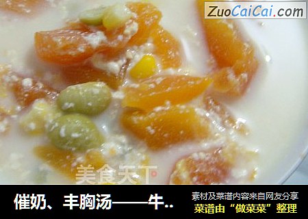 催奶、丰胸汤——牛奶炖木瓜