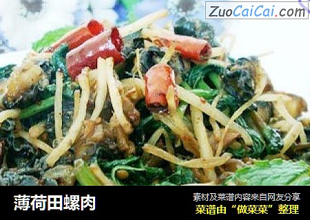 薄荷田螺肉