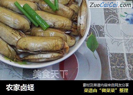 农家卤蛏
