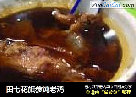 田七花旗参炖老鸡