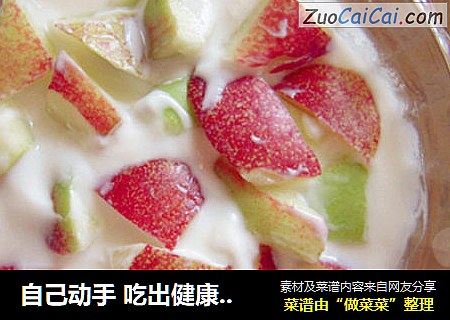 自己动手 吃出健康-自制酸奶