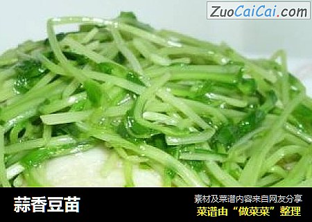 蒜香豆苗