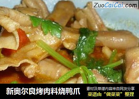 新奥尔良烤肉料烧鸭爪
