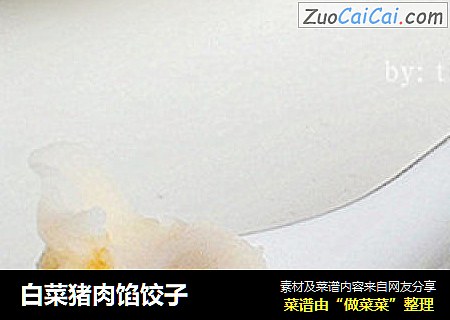 白菜猪肉馅饺子
