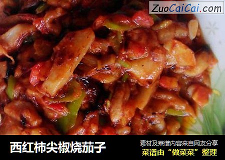 西红柿尖椒烧茄子