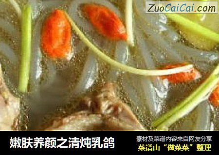 嫩肤养颜之清炖乳鸽