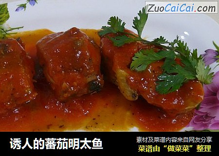 诱人的蕃茄明太鱼