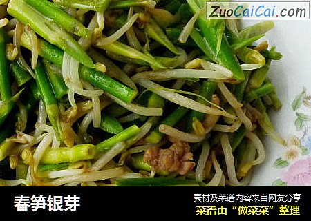 春笋银芽