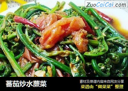 蕃茄炒水蕨菜
