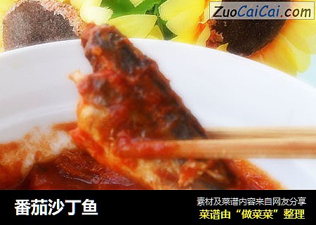 番茄沙丁鱼