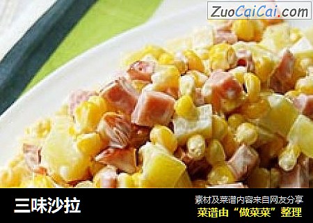 三味沙拉