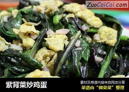 紫背菜炒鸡蛋