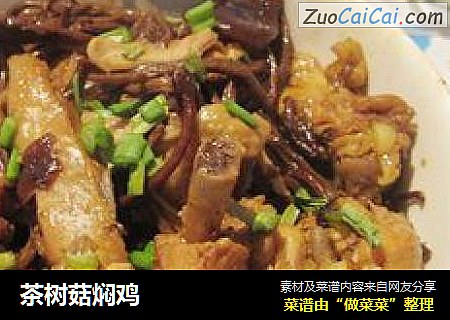 茶树菇焖鸡