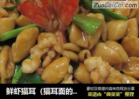 鲜虾猫耳（猫耳面的详细制作过程）